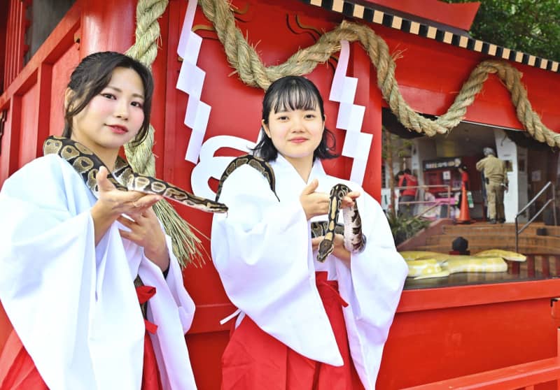 南城市のおきなわワールド　12年に1度の「白へび神社」お目見え　ご神体も「巳」に来て