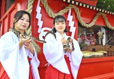 南城市のおきなわワールド　12年に1度の「白へび神社」お目見え　ご神体も「巳」に来て