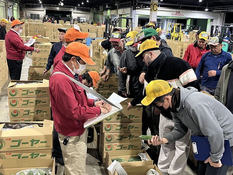 旬のミカンやキャベツが続々と落札　沖縄・浦添市で青果の初競り　異常気象で入荷量は12％減【動画あり】