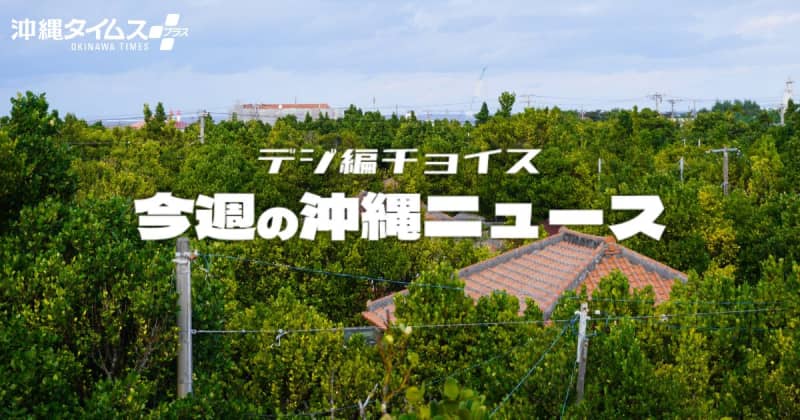 保育園は「開かずの6年」、職員は半数が欠員の恐れ　渡名喜村の人材難は人ごとじゃない【タイムス＋プラスから1月4日～10日】