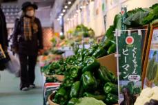 「見て触れて味わって」　県産品を試食して人気投票も　おきなわ花と食のフェスティバル2025、那覇市で開幕【動画あり】