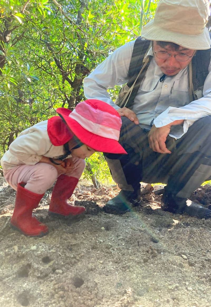 きっかけは3歳女児「これ何？」　八重山で初確認された寄生バチ　研究者の父「くやしいけど嬉しい」