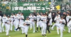 今年は例年になく寒いけど…プロ野球の沖縄キャンプを楽しもう！【タイムス＋プラスから2月1日～7日】