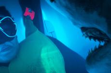 人喰いザメから尾ビレビンタ、『エア・ロック 海底緊急避難所』衝撃映像