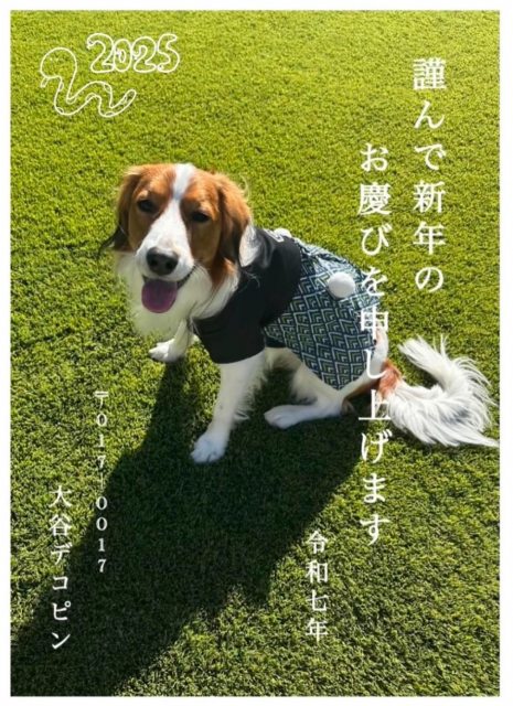 大谷翔平、キュートな“デコピン年賀状”が大反響「ひゃぁー！かわいいね」「最高の年賀状」「袴姿が似合ってる」