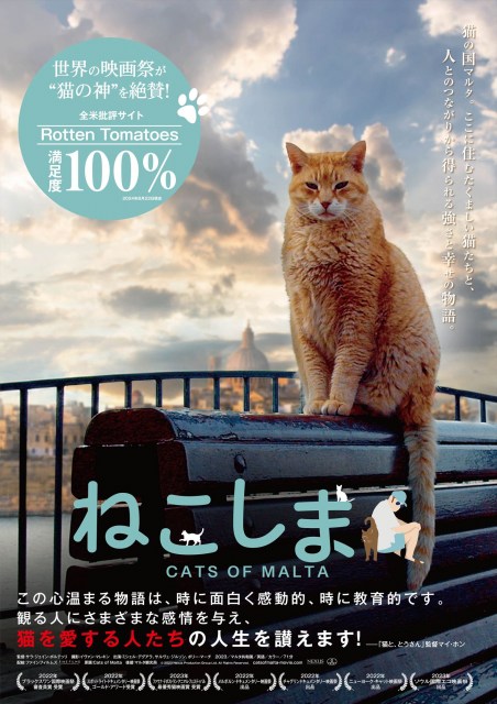 マルタ共和国の“猫文化”ドキュメンタリー『ねこしま』入場者プレゼント配布決定【1月10日公開】