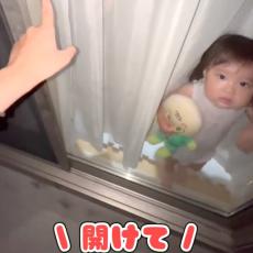 「反省ポーズが可愛い」洗濯干し中に締め出しくらうママと2歳児＆パパをやさしく寝かしつける1歳児「ちっさなおててでトントン、かわいすぎる」