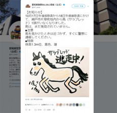 愛知県で馬が逃走中！県警ツイッターで注意呼びかけるも…絵が危機感ゼロと話題