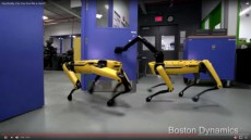 「ロボット は なかまを よんだ！」ボストン・ダイナミクスの新ロボット動画は連携プレイ