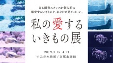 本物そっくりナマコロールも登場！すみだ水族館と京都水族館で「私の愛するいきもの展」開催