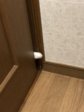 おわかりいただけただろうか？　トイレの戸の隙間からのびる白い手が……