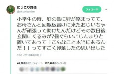 本当にあった「○○の恩返し」？　助けたお礼みたいな出来事にネット民ほっこり