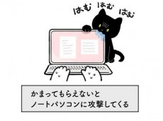 構っての圧がすごい猫vsお仕事用ノートPCの仁義なき戦い……？？