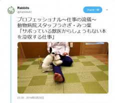 うさぎスタッフ仕事の流儀　サボっている獣医から本を没収するこだわりとは