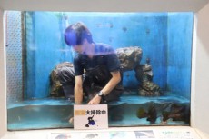 桂浜水族館がイケメンを展示？　まさかの投稿にネットざわつく