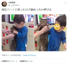 猫と1歳児の背比べ　意外と伸びて子どももビックリ！