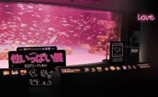 生命の根源に迫る！サンシャイン水族館で「性いっぱい展」夜間限定イベント開催