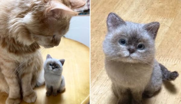 羊毛フェルトで作られた「シャム猫風ニャンコ」が本物にしか見えない