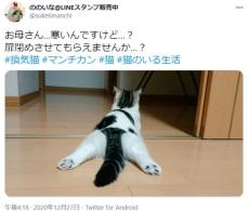 暑がり猫VS扉を閉めたい飼い主の攻防　「寒いんですけど…」