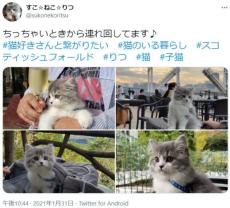 旅先でもいっしょな「おでかけ猫」さん　どうして“おでかけ”するようになったのか？聞いてみた