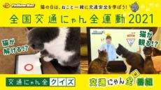 猫の交通安全意識を高める「金曜ドーロショー」　まさかの「金曜ロードショー」CM枠で1回限り放送決定