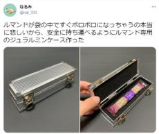 ルマンドをあらゆる衝撃から防護　手作りケースに反響