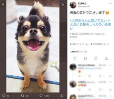 元気になったワン　愛犬が見せた満面の笑みにほっこり