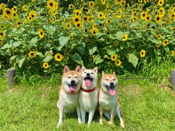 otakuma_20210730_02_0.jpg