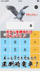 ボタンを押すたびプルップゥ～　8月10日（ハトの日）記念した「ハト電卓」がリリース