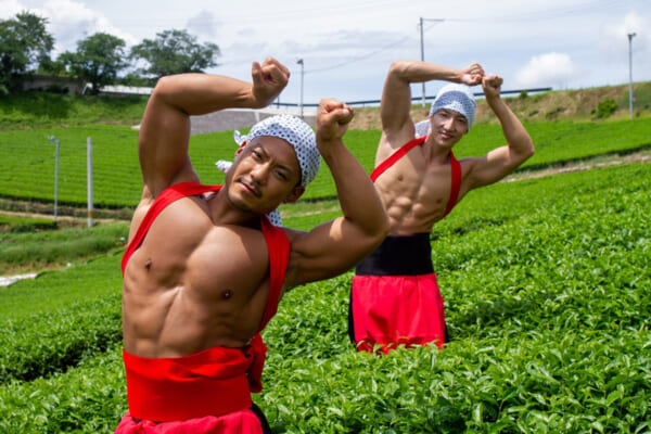 茶畑×筋肉で「まっちゃとマッチョ」？相変わらず用途不明なマッスル