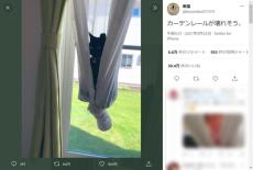 色々な見方が出来る？カーテンに包まれる黒猫の写真に憶測が飛び交う