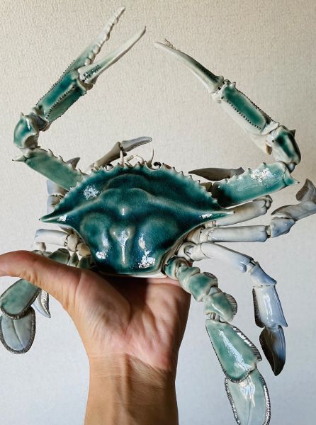 ああ素晴らしき蟹の世界 「青いワタリガニ」が魅せる勇ましさと力強さ