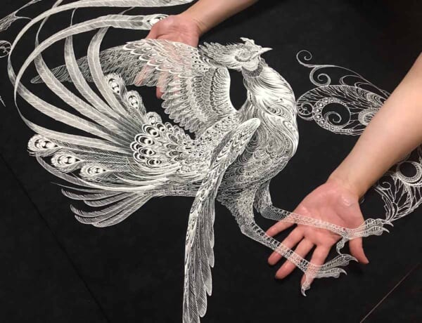 繊細な線とリアルな立体感 美しき切り絵の鳳凰｜Infoseekニュース
