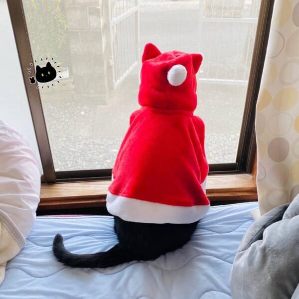 otakuma_20211224_07_0.jpg