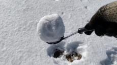 おもちゃ作家が提案　おたまを使ってきれいな雪玉を作ろう