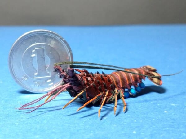 紙で作った超ミニサイズの伊勢海老が「まさに紙（神）レベル
