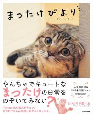 人気猫まつたけちゃんのフォトエッセイが発売　未公開写真も多数収録