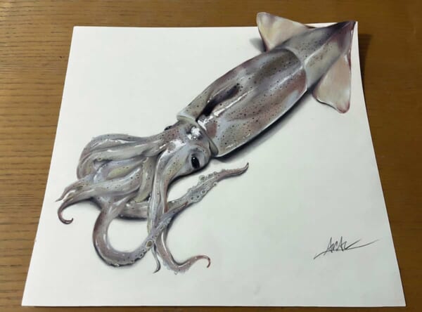 立体にしか見えない 色鉛筆で描かれたイカのトリックアートに驚愕 記事詳細 Infoseekニュース