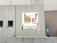 渋谷キャットストリートに「猫飛び出しサイン」設置　イエローハット「全国交通にゃん全運動」