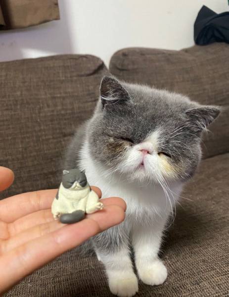 猫のフィギュアに瓜二つの猫ちゃん 仏のような笑顔に癒やされる