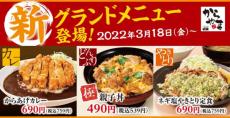 からやまが新グランドメニュー販売　「親子丼」や「からあげカレー」など