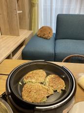 こんがり焼き上がって美味しそう？　お好み焼きそっくりな猫