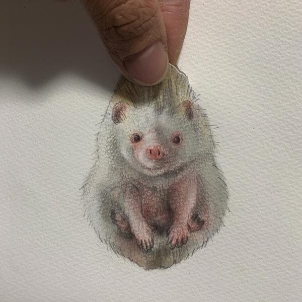 ハリネズミと蛍　原画一点物 本当につまみ上げられてる？ハリネズミのトリックアートに驚き