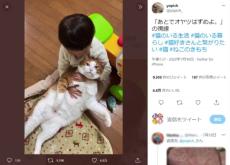 「あとでオヤツはずめよ」　子どもにモフモフされるがままの猫