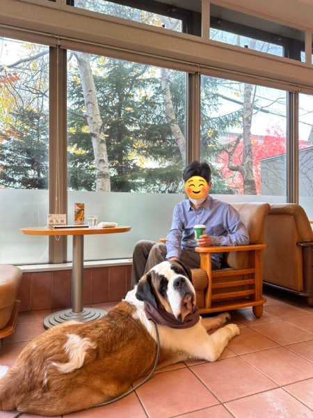 大型犬 セント・バーナード 樹脂製 オブジェ 高さ80㎝