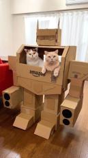 パイロットは猫　ダンボール製「未来のアマゾン配達ロボット」が勇ましい