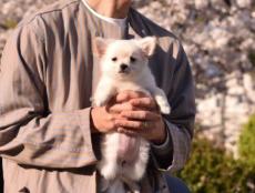 お迎え初日の飼い主とワンコ　初々しさあふれる抱っこ写真にほっこり