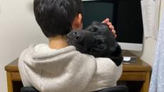 飼い主さんLOVEの大型犬　抱っこでウトウトする様子がまるで大きな赤ちゃん