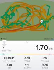 ジョギング？ではなく公園遊び　スマートウォッチで移動経路を記録すると「頑張った感」出て楽しいらしい