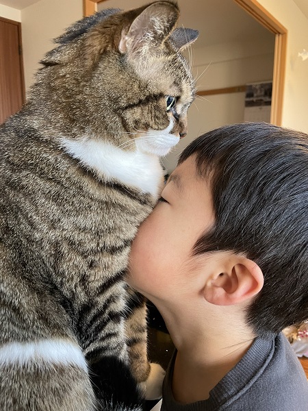 にゃんてこったい…… 猫吸いされて「クサイ」と言われてしまった猫